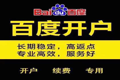 百度推广成功案例：打造行业领军品牌之路